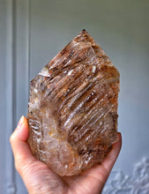 將圖片載入圖庫檢視器 Elestial Smoky Skeleton / Skeletal Quartz on Stand - 1.09kg #101
