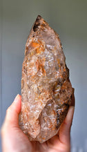 將圖片載入圖庫檢視器 Elestial Smoky Skeleton / Skeletal Quartz on Stand - 1.09kg #101
