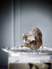 將圖片載入圖庫檢視器 Elestial Smoky Skeleton / Skeletal Quartz on Stand - 1.56kg #150
