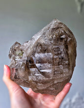 將圖片載入圖庫檢視器 Elestial Smoky Skeleton / Skeletal Quartz on Stand - 1.56kg #150
