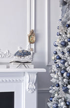 Load image into Gallery viewer, Blue Kyanite &amp; Matrix - 1.35kg #10
