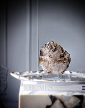 將圖片載入圖庫檢視器 Large Elestial Smoky Skeleton / Skeletal Quartz on Stand - 2.08kg #4
