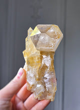 Load image into Gallery viewer, Golden Healer Quartz Cluster - 268g #5
