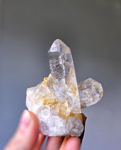 Load image into Gallery viewer, Golden Healer Quartz Cluster - small 123g #134
