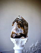 이미지를 갤러리 뷰어에 로드 , Tiger Jasper Tower - 301g #116
