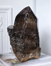 將圖片載入圖庫檢視器 Giant Nigerian Smoky Quartz Point / Cluster - 7.92kg #88
