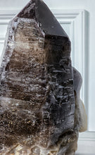 將圖片載入圖庫檢視器 Giant Nigerian Smoky Quartz Point / Cluster - 7.92kg #88
