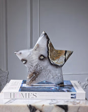 將圖片載入圖庫檢視器 Large Volcano Agate Star Carving / Thick Slab - 1.97kg #105
