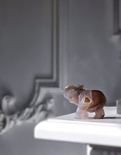 画像をギャラリービューアに読み込む, Brown Flower Agate Geode Elephant - small 148g #424
