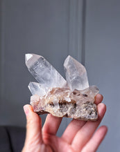 Load image into Gallery viewer, | The Rabbit | Smoky Himalayan Quartz Cluster - 203g #532
