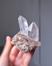Load image into Gallery viewer, | The Rabbit | Smoky Himalayan Quartz Cluster - 203g #532
