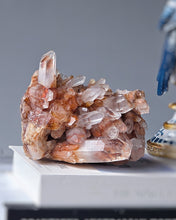 画像をギャラリービューアに読み込む, Pineapple Red Hematoid / Fire Quartz Cluster - 1.27kg #105
