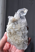 Load image into Gallery viewer, Himalayan Lemurian Quartz Cluster - 260g #547
