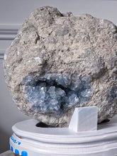Load image into Gallery viewer, Large High Grade Celestite Geode / Cluster on Wooden Hand Painted Stand - 11.73kg #17
