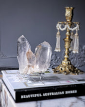 이미지를 갤러리 뷰어에 로드 , Himalayan Quartz Cluster on Clear Stand - 637g #568
