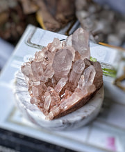 Lade das Bild in den Galerie-Viewer, Earth Red Himalayan Quartz Cluster - 552g #571
