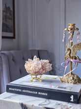 Load image into Gallery viewer, High Grade Peach Himalayan Quartz Cluster on Gold Stand - 747g #579
