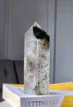 將圖片載入圖庫檢視器 Garden Quartz / Lodolite Green Phantom Tower - 1.1kg #173
