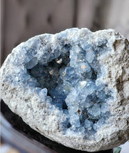 Cargar imagen en el visor de la galería, 40% OFF | Large High Grade Celestite Geode / Cluster on Wooden Stand - 11.73kg #17
