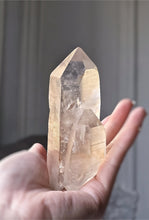 이미지를 갤러리 뷰어에 로드 , Smoky Lemurian Seed Quartz - 227g #354
