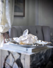 Load image into Gallery viewer, Himalayan Quartz Cluster - 1.23kg #478
