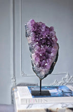 將圖片載入圖庫檢視器 Amethyst Cluster on Black Stand - 2.77kg #137
