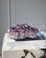 Load image into Gallery viewer, Amethyst Cluster - 1.22kg #99

