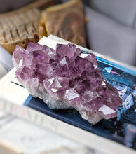 Load image into Gallery viewer, Amethyst Cluster - 1.22kg #99
