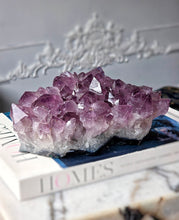 Load image into Gallery viewer, Amethyst Cluster - 1.22kg #99
