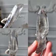 Cargar imagen en el visor de la galería, Lemurian Seed Garden Quartz - 70g #346
