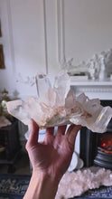 비디오를 갤러리 뷰어 High Grade Pink Himalayan Quartz Cluster - 1.4kg #569에 로드 및 재생
