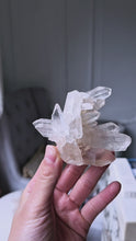 비디오를 갤러리 뷰어 Himalayan Quartz Cluster on Clear Stand - small 142g #521에 로드 및 재생
