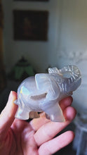 Cargar y reproducir el video en el visor de la galería, Agate Geode Elephant - small 126g #423
