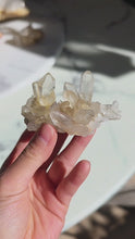 ギャラリービューアGolden Himalayan Quartz Cluster - 96g #421に読み込んでビデオを見る

