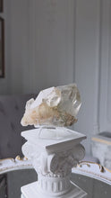 ギャラリービューアPhantom Himalayan Quartz Cluster on Stand - 288g #435に読み込んでビデオを見る

