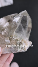 ギャラリービューアPhantom Himalayan Quartz Cluster on Stand - 288g #435に読み込んでビデオを見る
