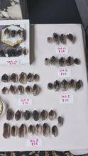 Load and play video in Gallery viewer, Raw Smoky Quartz Point Set [Pick your own]
