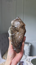 將影片載入圖庫檢視器並播放，Elestial Smoky Skeleton / Skeletal Quartz - 682g #328
