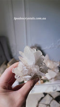 Cargar y reproducir el video en el visor de la galería, Butterfly Himalayan Quartz Cluster - 201g #339
