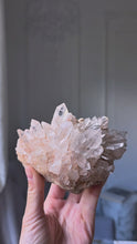 Load and play video in Gallery viewer, High Grade Peach Himalayan Quartz Cluster on Gold Stand - 747g #579
