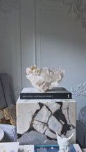 비디오를 갤러리 뷰어 Large Smoky Himalayan Quartz Cluster - 5.15kg #562에 로드 및 재생
