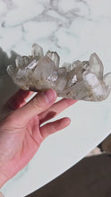 Load and play video in Gallery viewer, Smoky Himalayan Quartz Cluster - 294g #451
