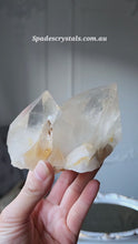 Load and play video in Gallery viewer, Golden Himalayan Quartz Cluster - small 474g #243
