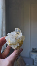 Load and play video in Gallery viewer, Golden Healer Quartz Cluster - small 161g #140

