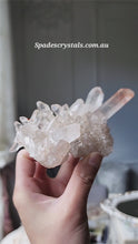 Load and play video in Gallery viewer, Himalayan Quartz Cluster - 285g #323
