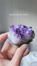 Cargar y reproducir el video en el visor de la galería, Small Amethyst Cluster with Phantom Inclusion - 164g #V7
