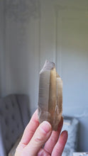 비디오를 갤러리 뷰어 Smoky Lemurian Seed Quartz - 195g #358에 로드 및 재생
