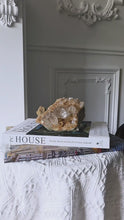 將影片載入圖庫檢視器並播放，| RARE | Double Layer Golden Himalayan Quartz Cluster - 1.2kg #454
