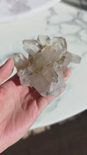 ギャラリービューアGolden Smoky Himalayan Quartz Cluster - 270g #422に読み込んでビデオを見る
