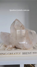 Load and play video in Gallery viewer, Phantom Himalayan Quartz Cluster - 1.62kg #260
